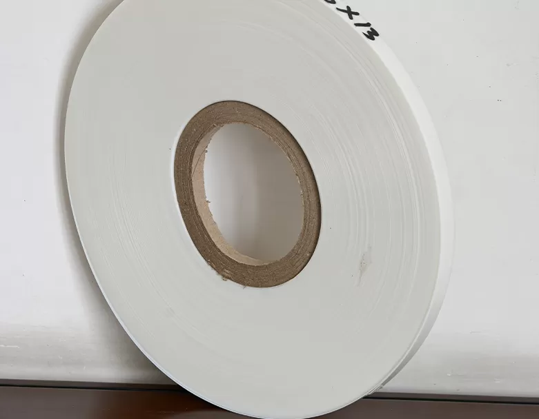 _DSC4031 聚酯薄膜