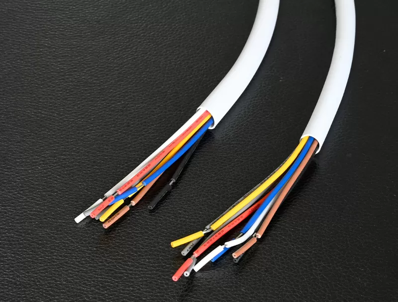 _DSC4084 电子引线