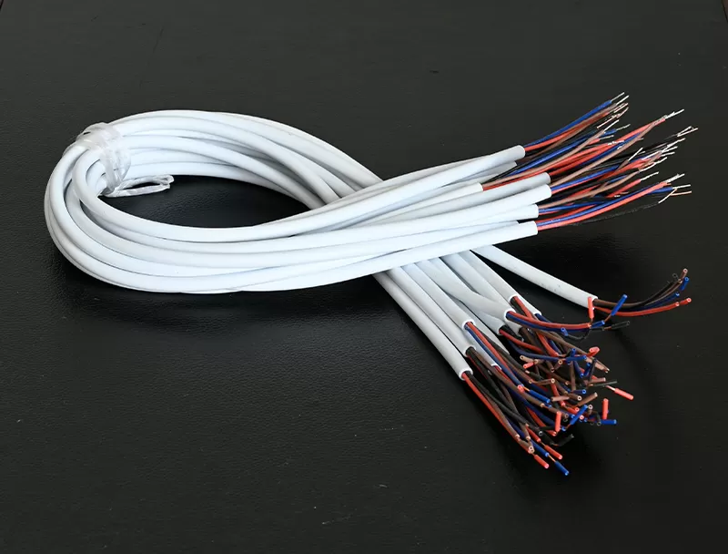 _DSC4084 电子引线